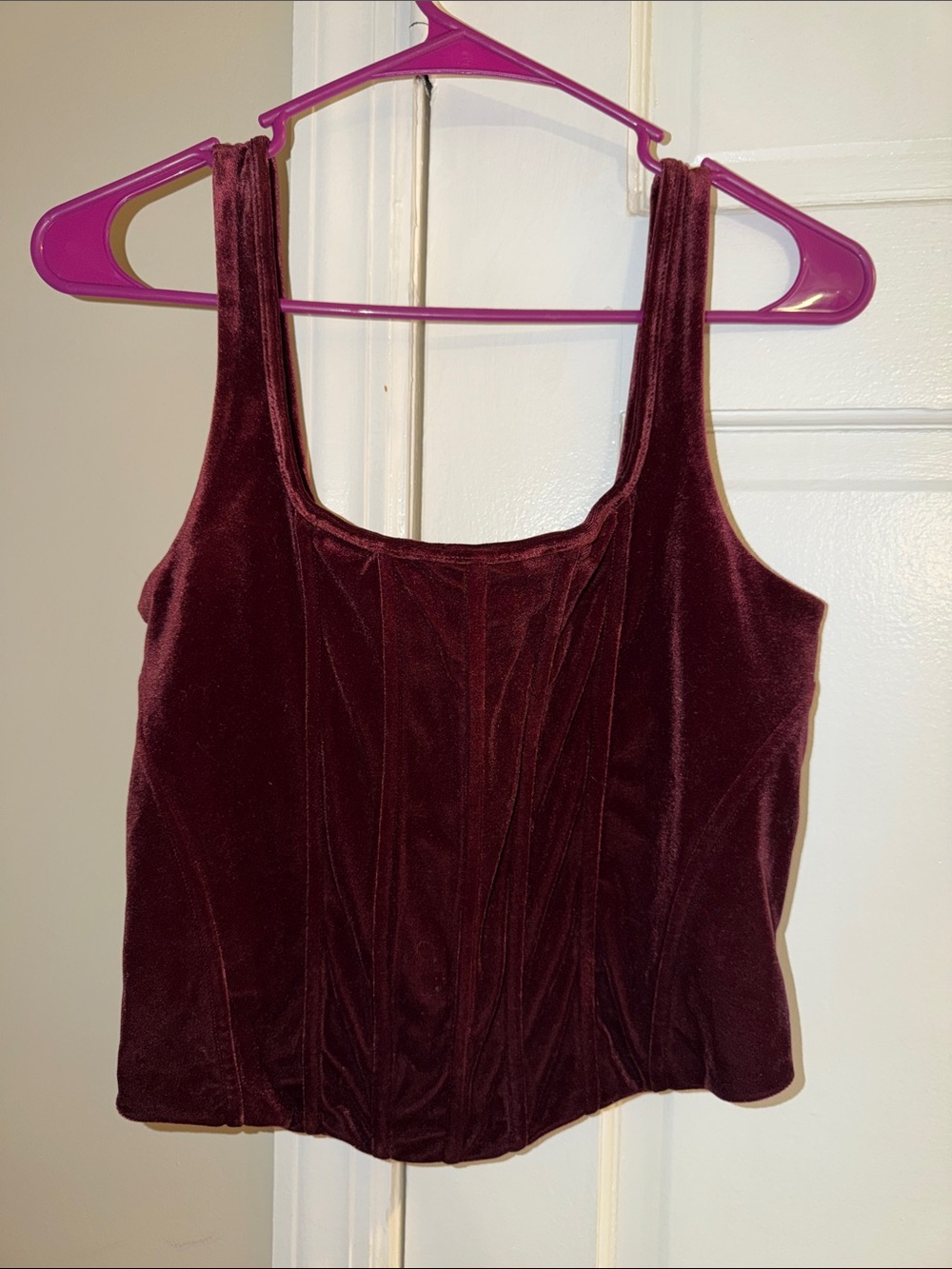 Express Burgundy Velvet Tank Top